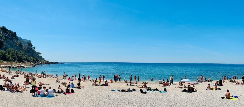 861e9e79-bf29-42c0-ba3f-48915fcdb35e-1