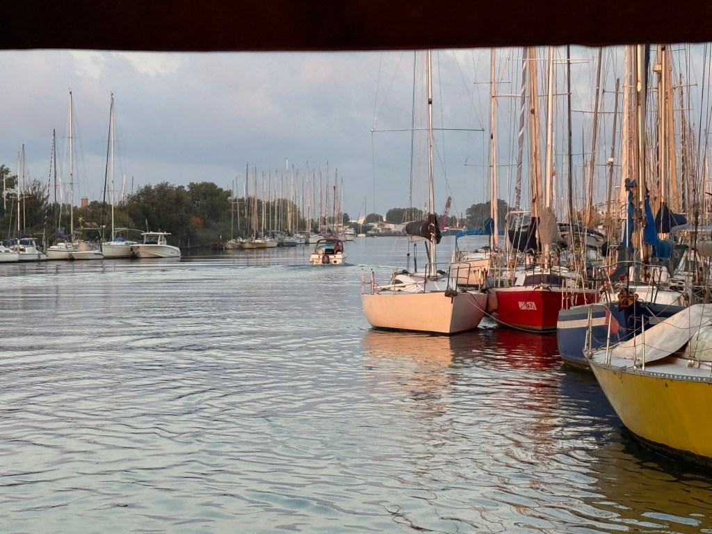 The Blue Dolphin Marina - Isola Sacra - The Tiber
